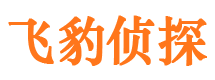 弥渡侦探公司